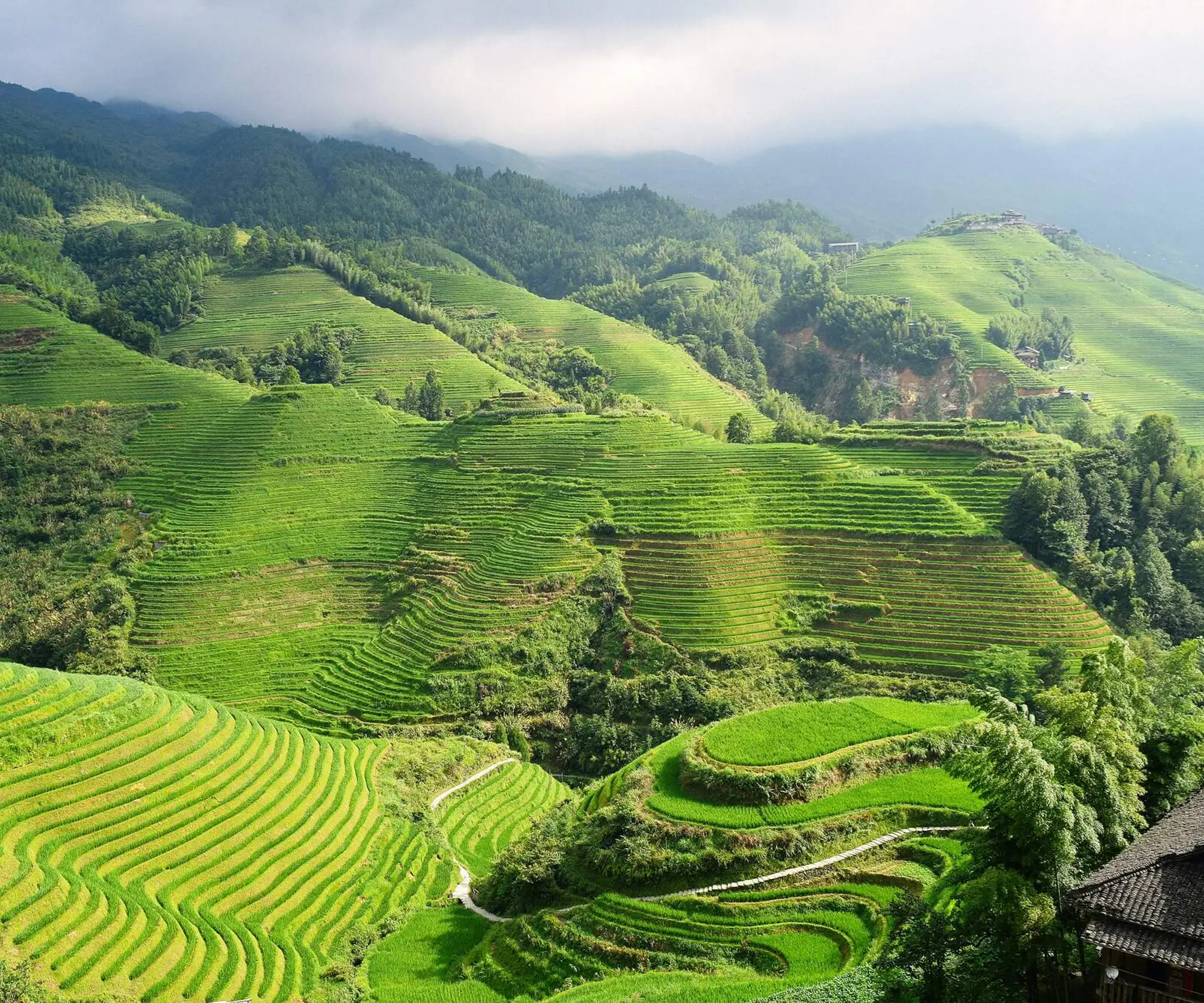 Discover the Best Cycling Tour Hanoi to Luang Prabang: An Epic Indochina Odyssey